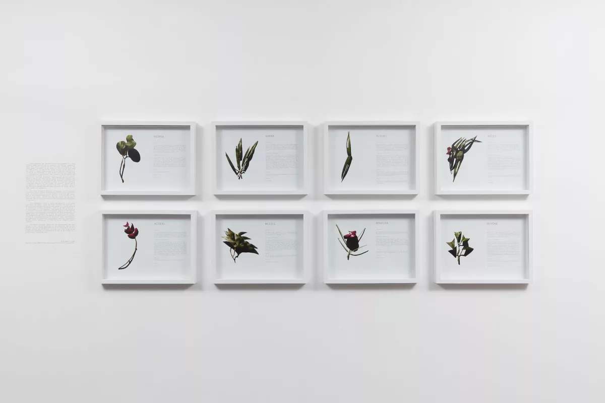 Anna Safiatou Tour&eacute;